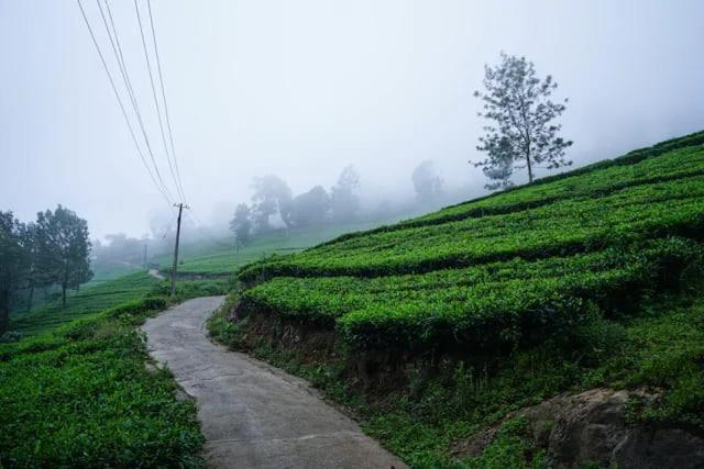 Lime Light Resort Munnar Esterno foto