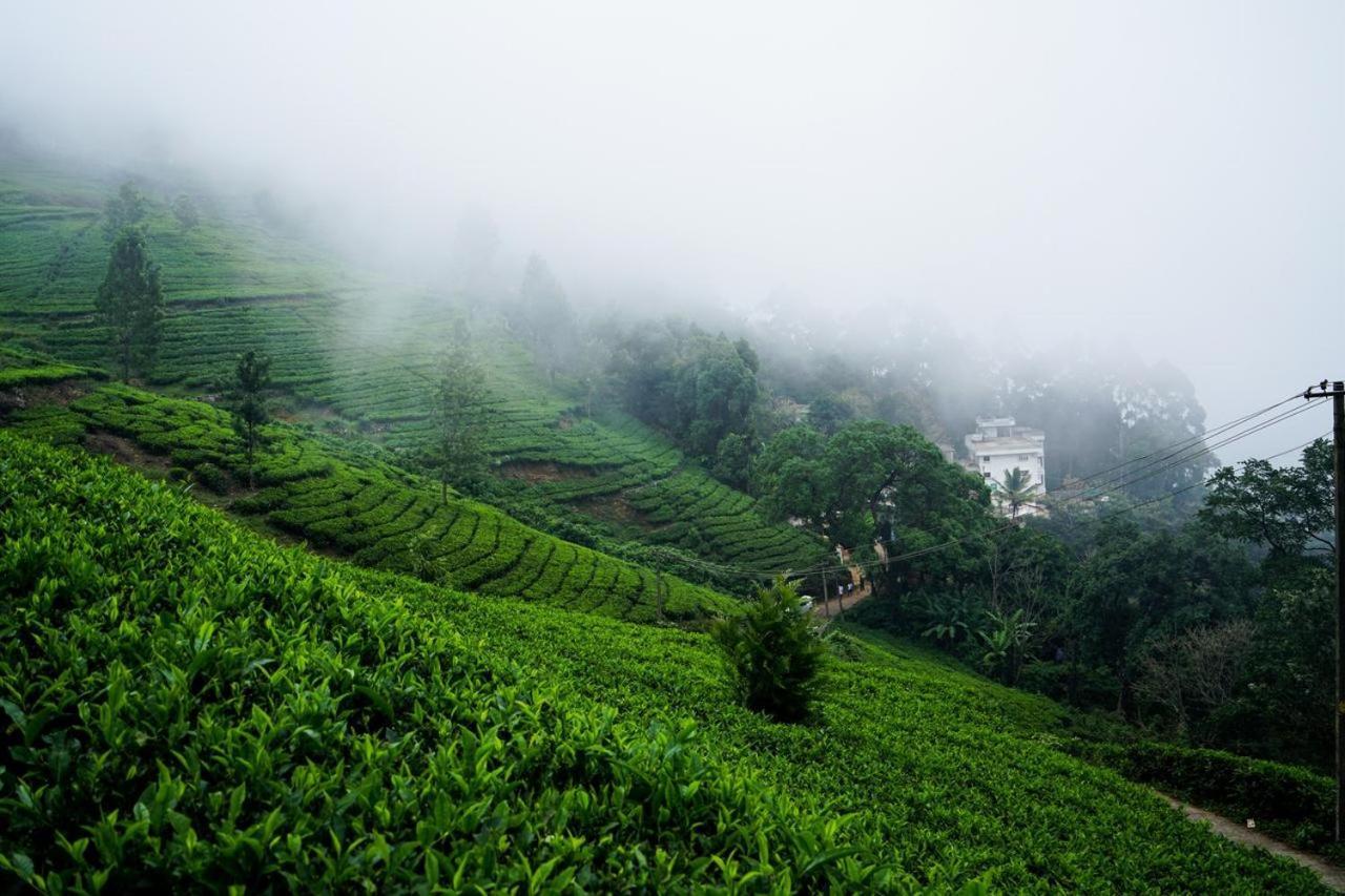 Lime Light Resort Munnar Esterno foto